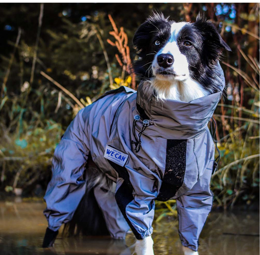 Manteau imperméable réfléchissant Manteau de pluie pour chien